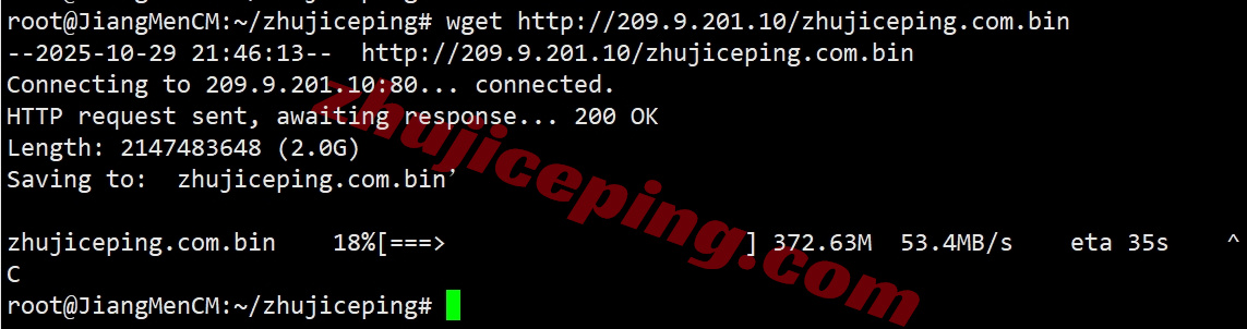 syvm8 详细测评synexvm香港动态住宅IP的VDS-运营商PCCW/1Gbps带宽不限流量