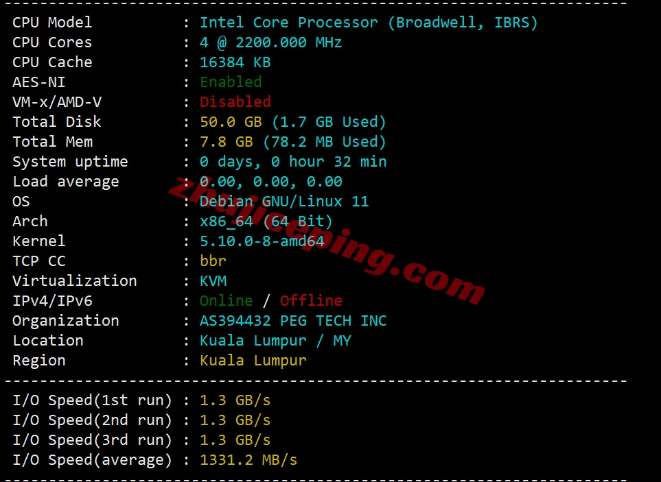 rak1my1 详细测评raksmart“大陆优化VIP”线路的马来西亚云服务器