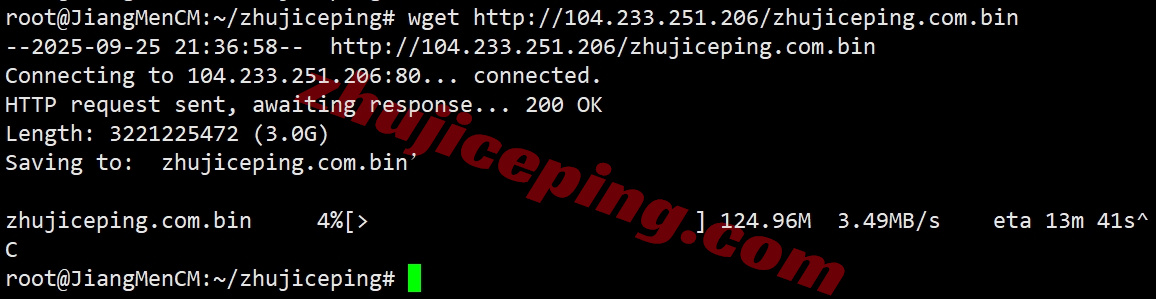 rak1my9 详细测评raksmart“大陆优化VIP”线路的马来西亚云服务器