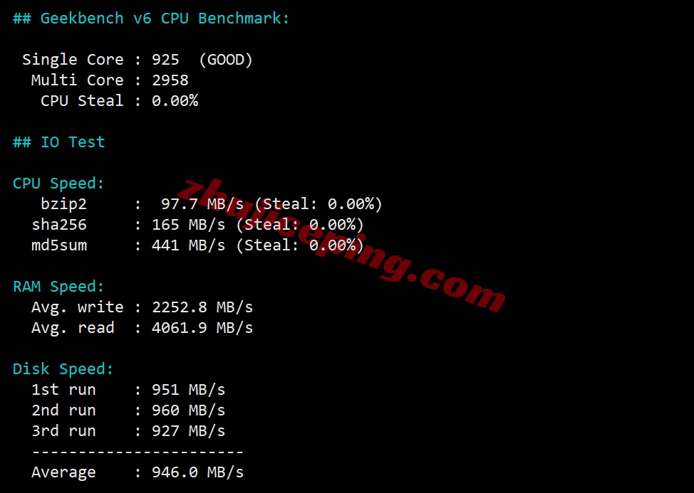 raksg30 raksmart云服务器怎么样?测评大陆优化VIP线路的新加坡云服务器