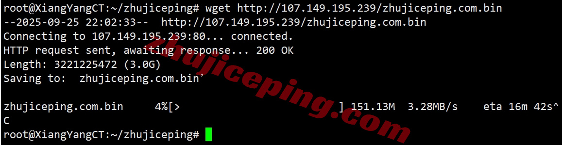 raksg9 raksmart云服务器怎么样?测评大陆优化VIP线路的新加坡云服务器