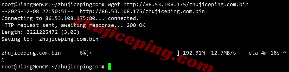 666de9 详细测评666clouds德国原生IP的VPS