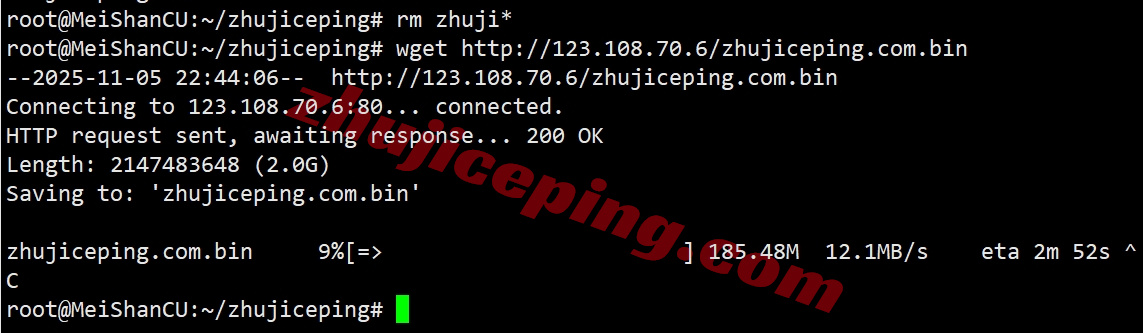 666jpsb9 详细测评666clouds日本软银线路的VPS