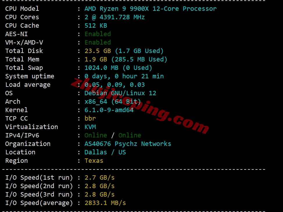 smarttx1 详细测评smarthost美国“Texas - USA”数据中心的VPS