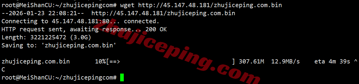 vdetri9 测评V.PS德国云服务器,原生德国IP解锁TikTok等/三网各自高端线路保速度!