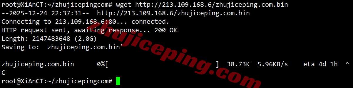 wepae8 详细测评wepc“阿联酋TikTok专用VPS”-阿联酋原生IP