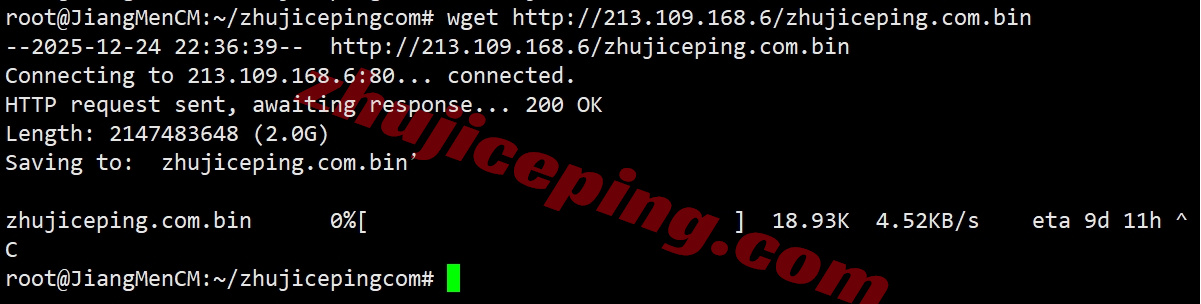 wepae9 详细测评wepc“阿联酋TikTok专用VPS”-阿联酋原生IP
