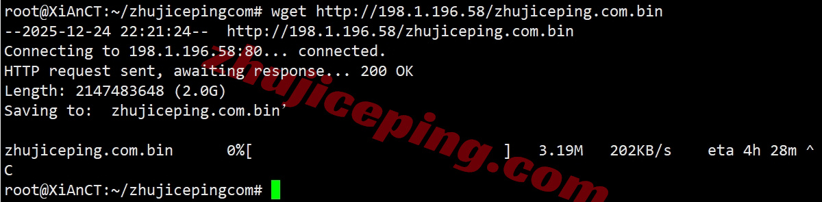 wepca8 wepc加拿大原生ip系列VPS测评,解锁TikTok/chatgpt等流媒体