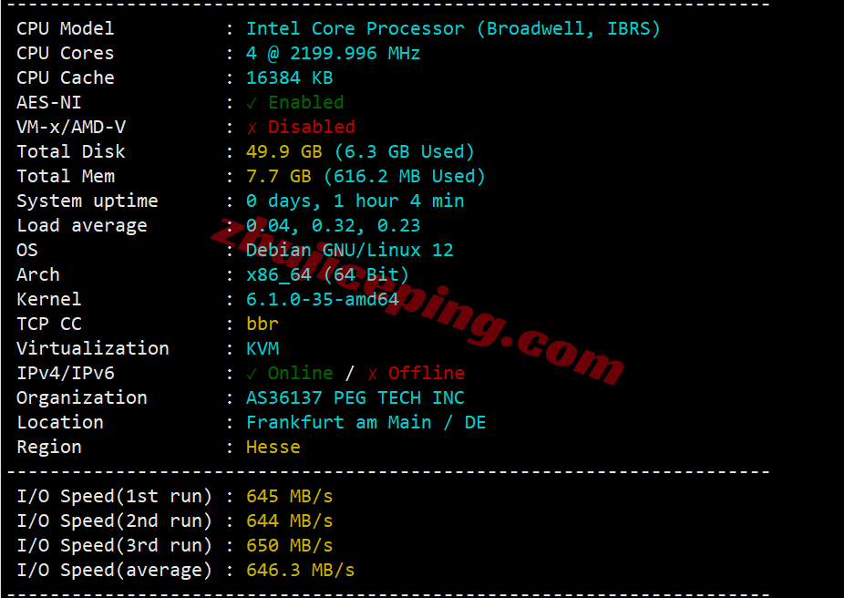 rakcde1 raksmart怎么样？大陆优化VIP网络的德国云服务器测评