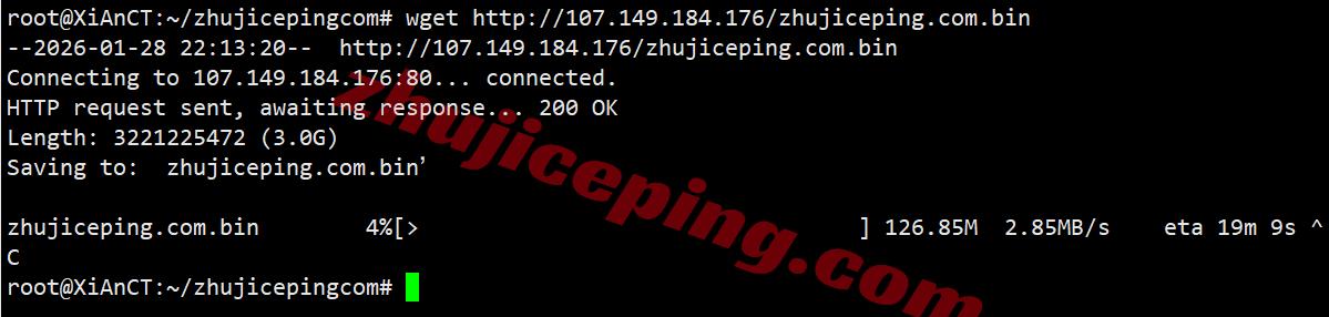 rakcde9 raksmart怎么样？大陆优化VIP网络的德国云服务器测评