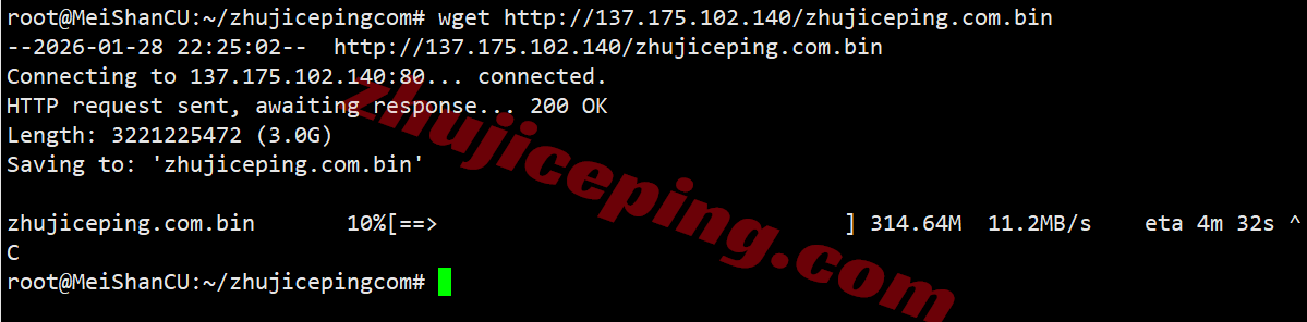 raksjv8 raksmart怎么样？大陆优化VIP线路的圣何塞云服务器测评