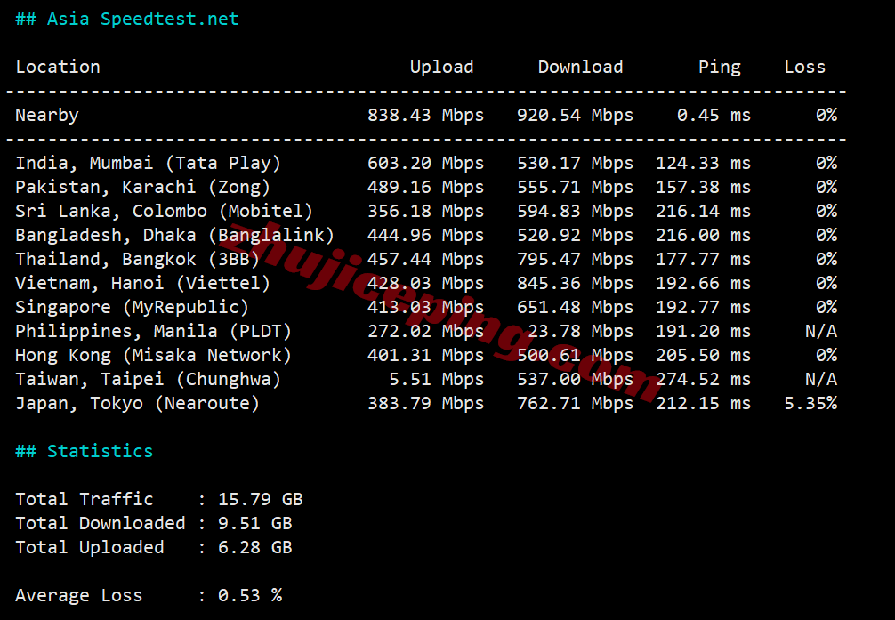 sswnl11 softshellweb荷兰阿姆斯特丹VPS测评（原生IP解锁tiktok等）