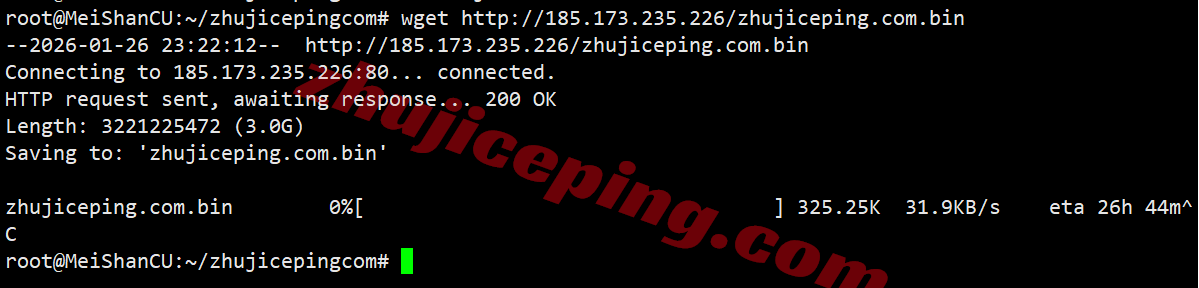 sswnl8 softshellweb荷兰阿姆斯特丹VPS测评（原生IP解锁tiktok等）