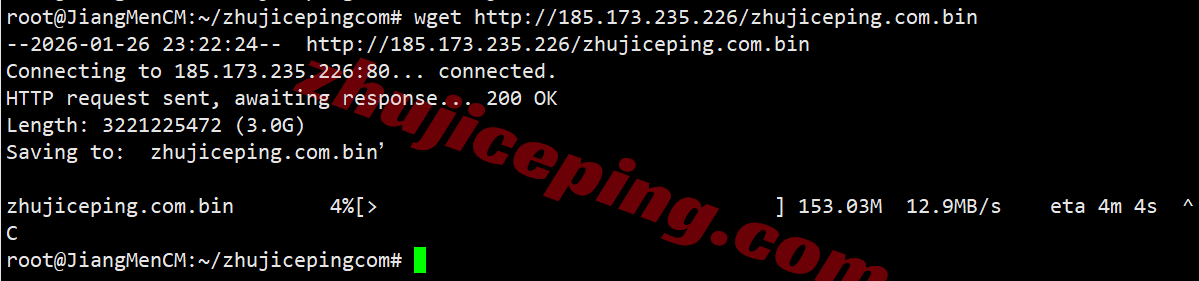 sswnl9 softshellweb荷兰阿姆斯特丹VPS测评（原生IP解锁tiktok等）