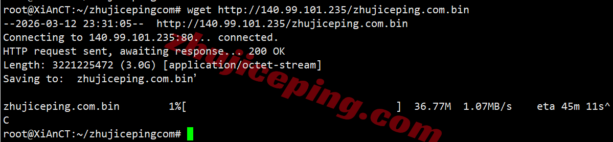 inetde5 inet.ws德国VPS测评，回程路由还行，解锁TikTok/chatgpt/netflix等