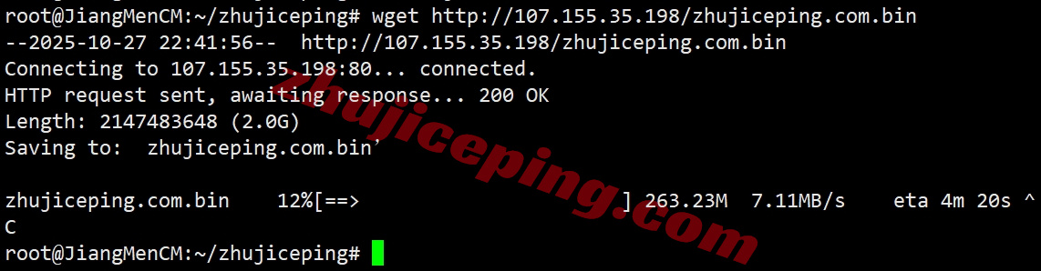 zljohan7 zenlayer南非云服务器测评，10G带宽/解锁tiktok等流媒体