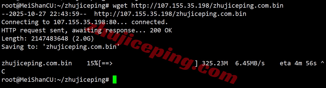 zljohan8 zenlayer南非云服务器测评，10G带宽/解锁tiktok等流媒体