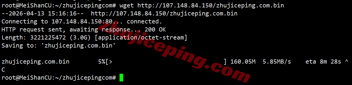 rakla2c5 raksmart美国洛杉矶“精品CN2”线路测评,原生IP解锁TikTok等,国内速度好