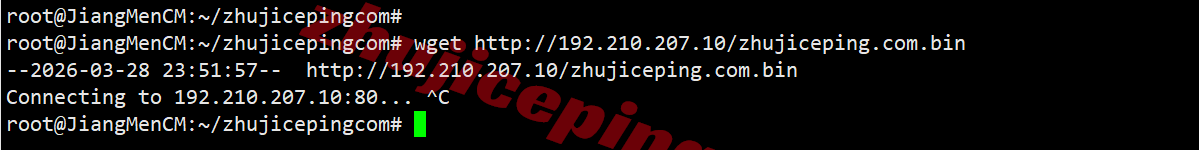 rnsj11 racknerd美国圣何塞VPS测评,原生IP解锁Tiktok等,移动效果差!
