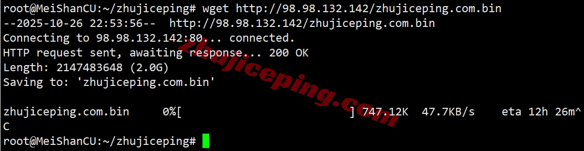 zlams8 Zenlayer荷兰云服务器测评，10G大带宽/解锁Tiktok等/资源DIY