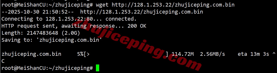 zlcat8 zenlayer加拿大多伦多机房测评，解锁TikTok/Chat等，默认10G大带宽