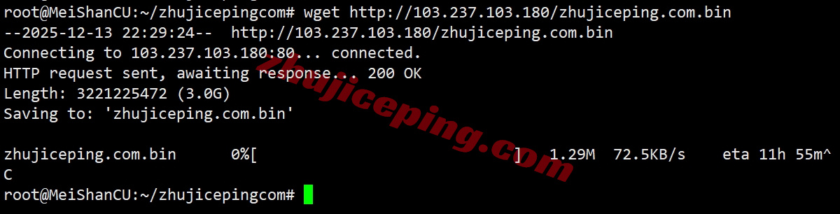 zlfrakf_6 zenlayer德国云服务器测评,10G带宽/解锁TikTok等流媒体