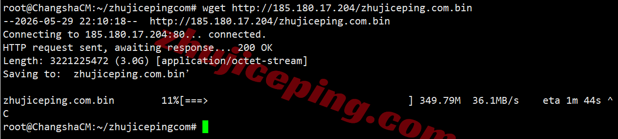 bwhsg11 搬瓦工新加坡VPS(SG_8)测评，三网全天候高速CTG/CN2回国