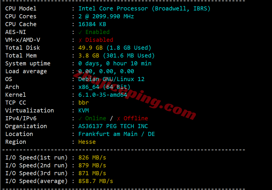 rak2cde1 raksmart德国机房精品CN2线路测评，高速专线访问，解锁TikTok等