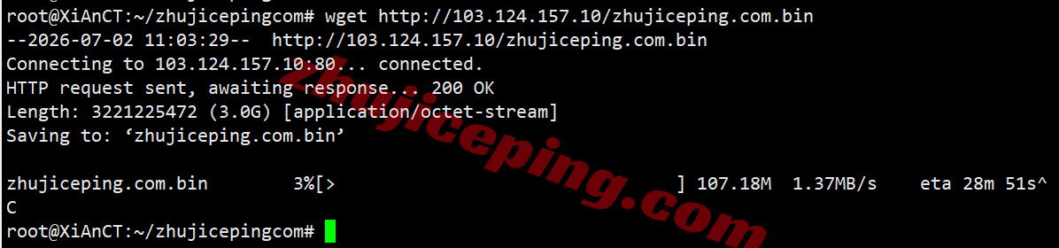 rakde_10 raksmart德国VPS(国际BGP线路)测评,解锁TikTok等,联通用户友好