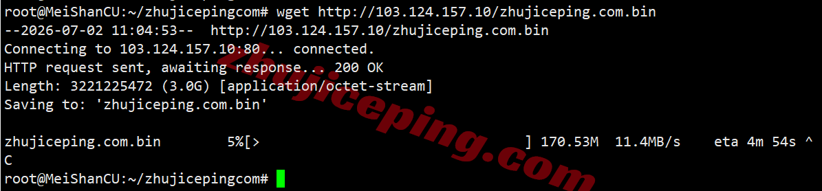 rakde_11 raksmart德国VPS(国际BGP线路)测评,解锁TikTok等,联通用户友好