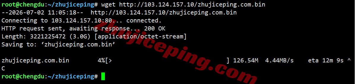 rakde_12 raksmart德国VPS(国际BGP线路)测评,解锁TikTok等,联通用户友好