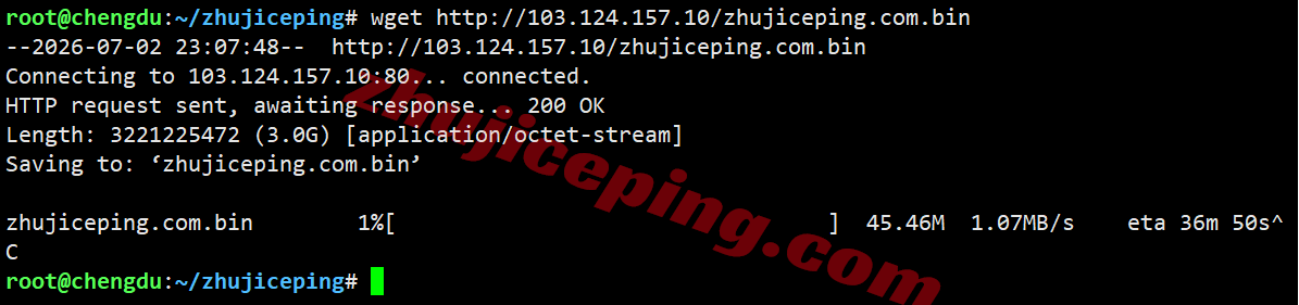 rakde_30 raksmart德国VPS(国际BGP线路)测评,解锁TikTok等,联通用户友好