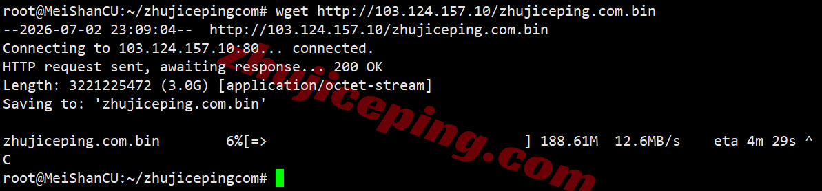 rakde_31 raksmart德国VPS(国际BGP线路)测评,解锁TikTok等,联通用户友好