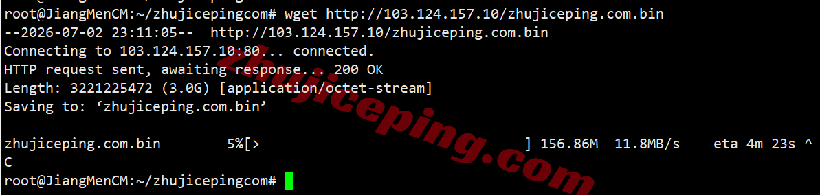 rakde_33 raksmart德国VPS(国际BGP线路)测评,解锁TikTok等,联通用户友好