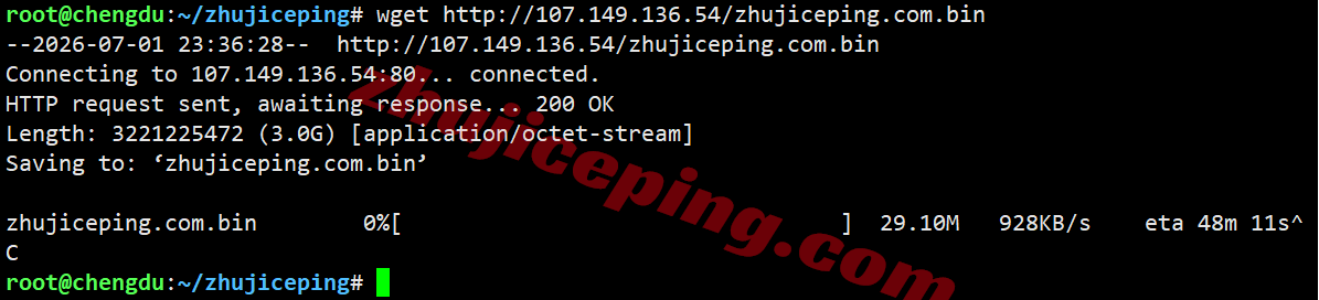rakmy_9 raksmart马来西亚VPS(国际BGP)测评，解锁TikTok/AI等，适合移动用户