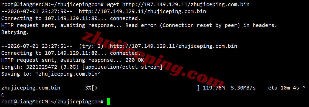 raksg_5 raksmart新加坡VPS(国际线路)测评,解锁TikTok/AI,适合移动用户