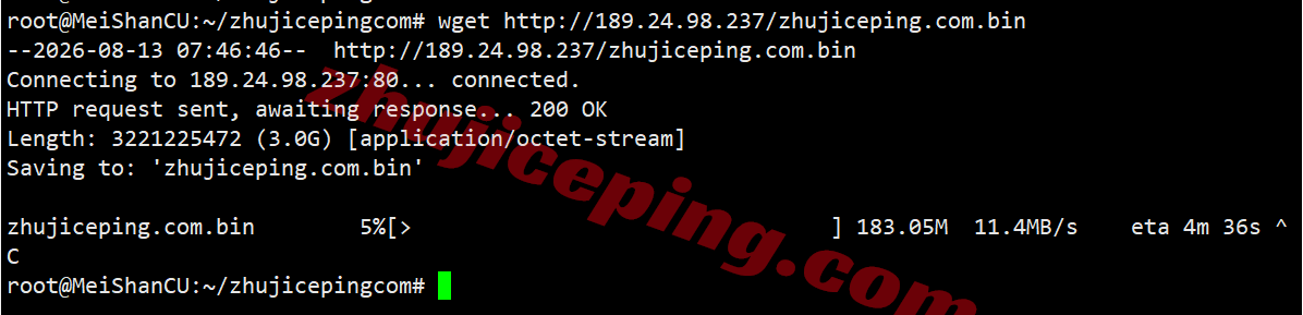 vcatd6 VPS.Cat德国VPS(三网AS9929)测评,解锁TikTok/AI,国内访问速度快