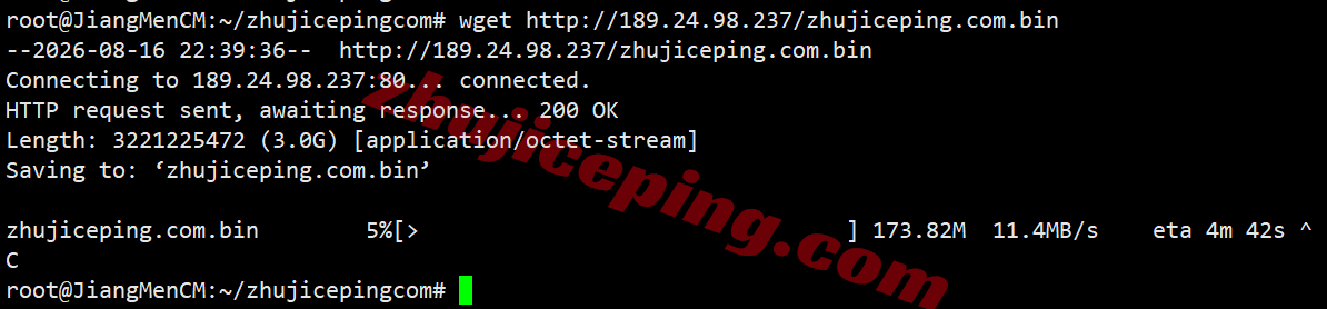 vcatde29 VPS.Cat德国VPS(三网AS9929)测评,解锁TikTok/AI,国内访问速度快