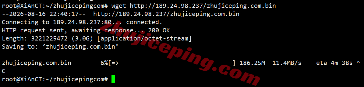 vcatde30 VPS.Cat德国VPS(三网AS9929)测评,解锁TikTok/AI,国内访问速度快