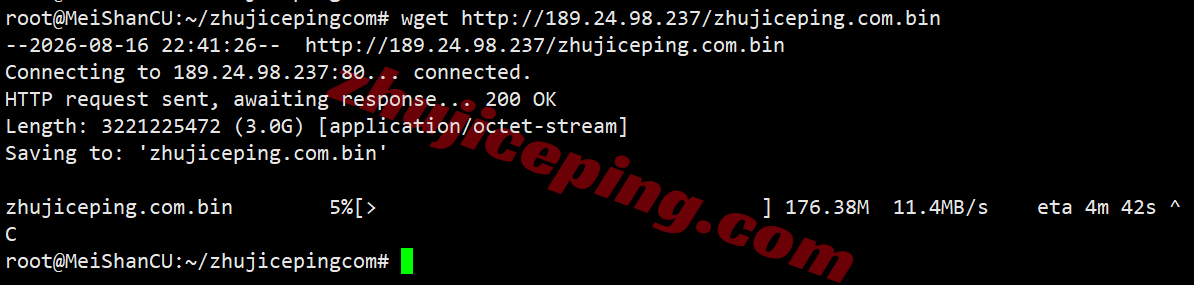vcatde31 VPS.Cat德国VPS(三网AS9929)测评,解锁TikTok/AI,国内访问速度快