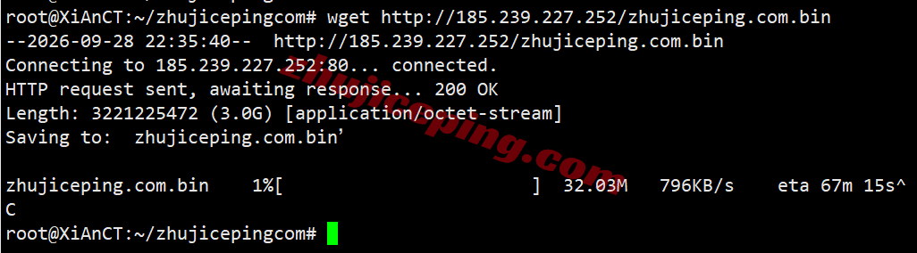 hhosg10 hhost新加坡VPS测评，适合移动网络，可以解锁部分流媒体