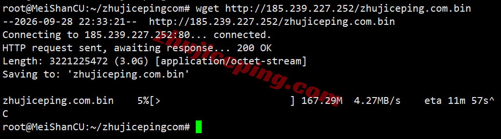 hhosg8 hhost新加坡VPS测评，适合移动网络，可以解锁部分流媒体