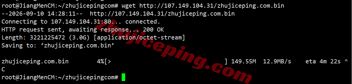 rakjpg3 raksmart日本VPS国际BGP线路详细测评,解锁TikTok等,网络还凑合