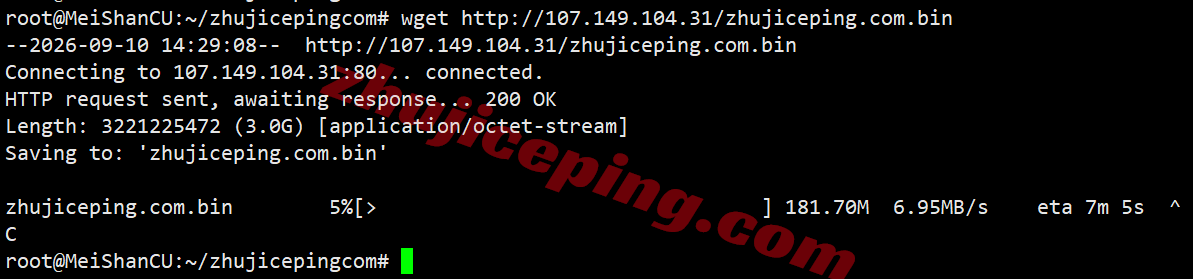 rakjpg5 raksmart日本VPS国际BGP线路详细测评,解锁TikTok等,网络还凑合