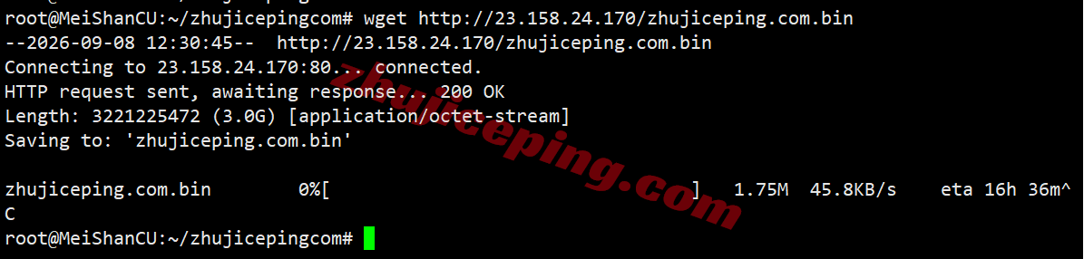 zgpiij15 zgovps日本大阪IIJ线路VPS测评,解锁TikTok/三大AI,性能极佳,移动快乐